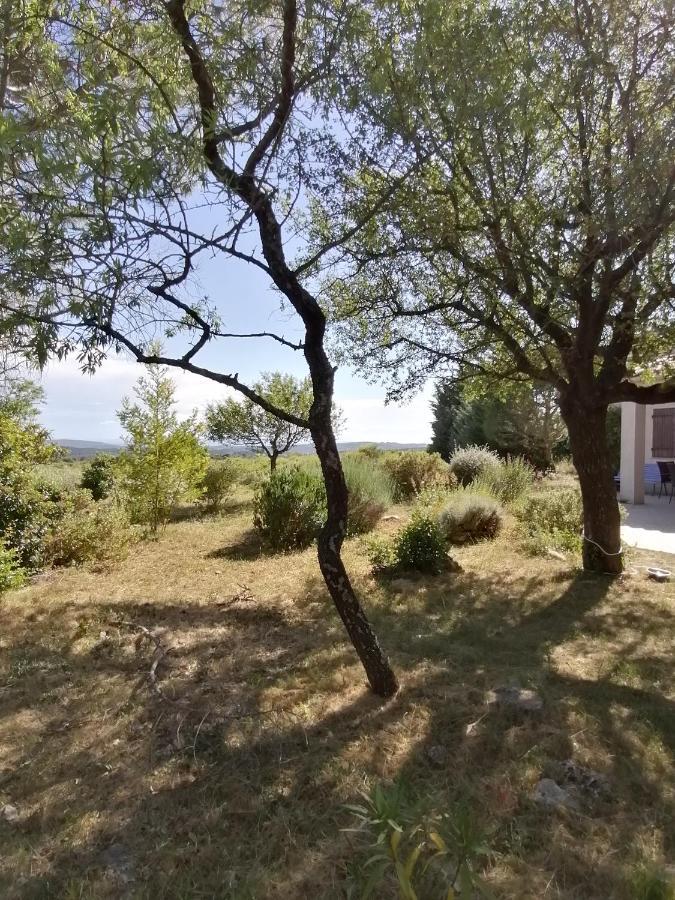 Villa Les romarins à Saint-Jean-de-Minervois Extérieur photo